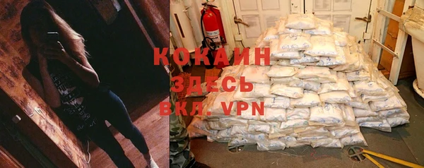 стафф Алексин
