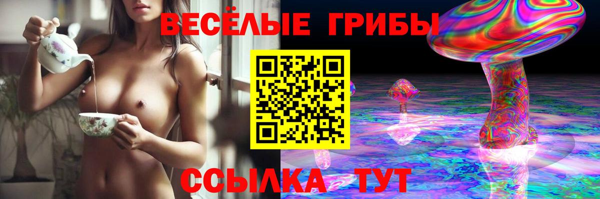 Галлюциногенные грибы прущие грибы  Псилоцибиновые грибы ЛСД  Вход с VPN  Курчалой 
