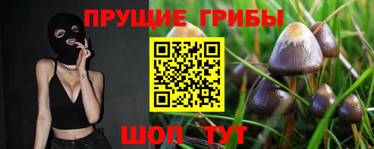 Псилоцибиновые грибы мухоморы Курчалой