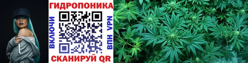 МАРИХУАНА индика  купить  цена  Курчалой 