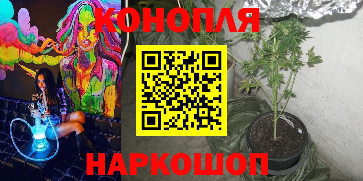 Канабис LSD WEED  Конопля гибрид  Курчалой  Конопля план  Вход с VPN 