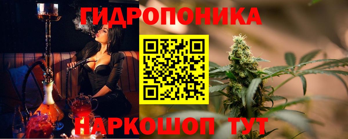 МАРИХУАНА гибрид Курчалой